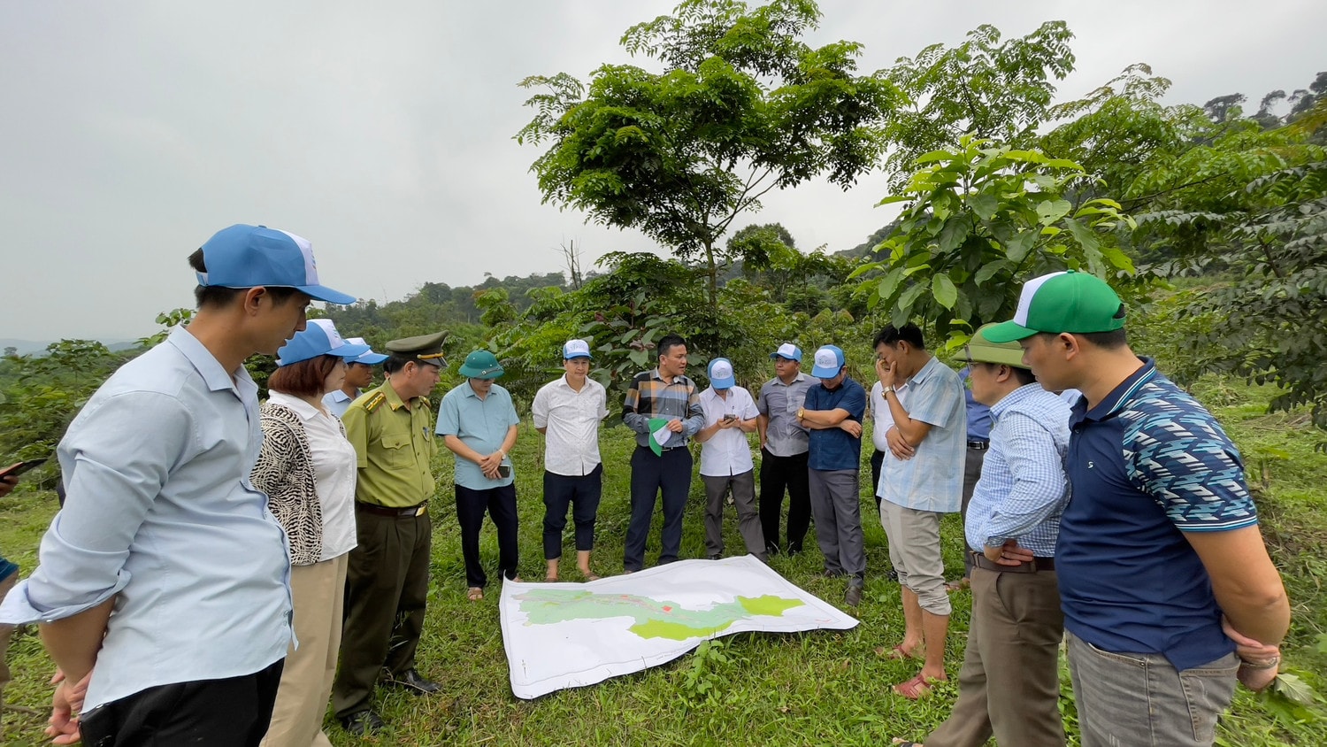 Hơn 500ha rừng trồng từ chương trình “Góp một cây để có rừng” -1