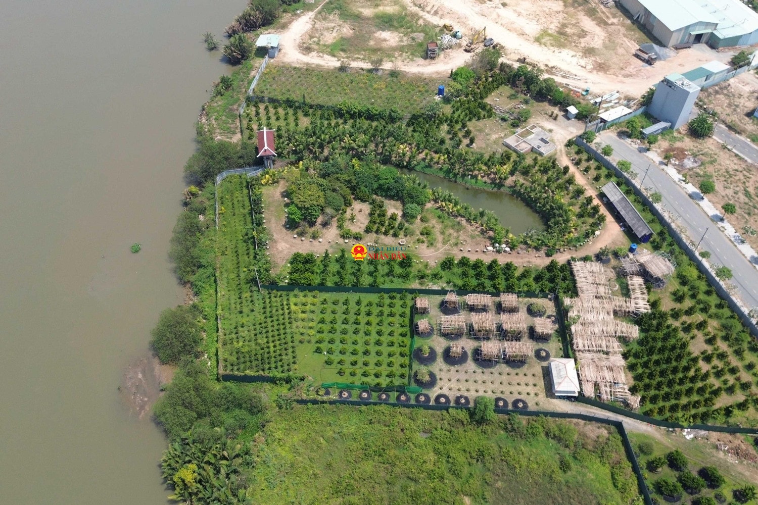 TP. Hồ Chí Minh: Cần làm rõ việc cấp phép xây dựng nhà, xây bờ kè tạm cho cá nhân tại khu vực bờ sông Tắc ở TP. Thủ Đức theo quy hoạch nào? -0