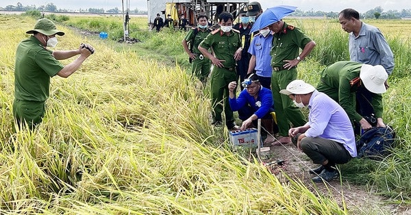 Giăng dây điện bẫy chuột làm chết người có bị đi tù không? -0