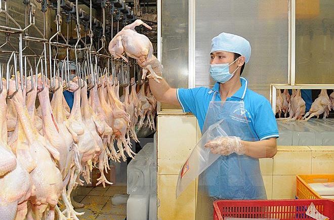 Ảnh minh họa: Nhà đầu tư