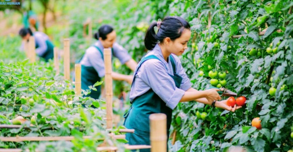 Nhật Bản tiếp nhận 23.000 lao động Việt Nam trong quý I.2024 -0