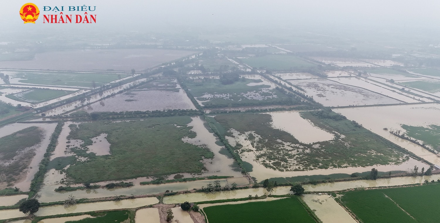 Quốc Oai (Hà Nội): Hàng trăm hộ dân bị thu hồi đất làm dự án, hơn 15 năm không nhận được tiền đền bù -0
