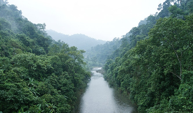 “Ứ đọng” trong chi trả nguồn kinh phí bán tín chỉ carborn -0