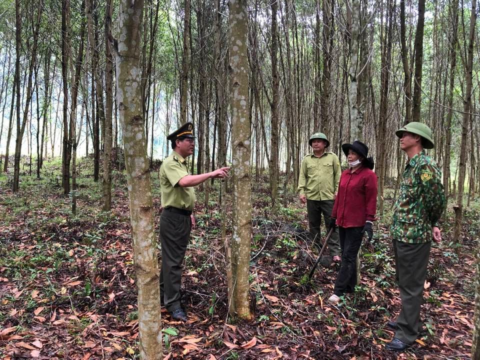 “Ứ đọng” trong chi trả nguồn kinh phí bán tín chỉ carborn -0