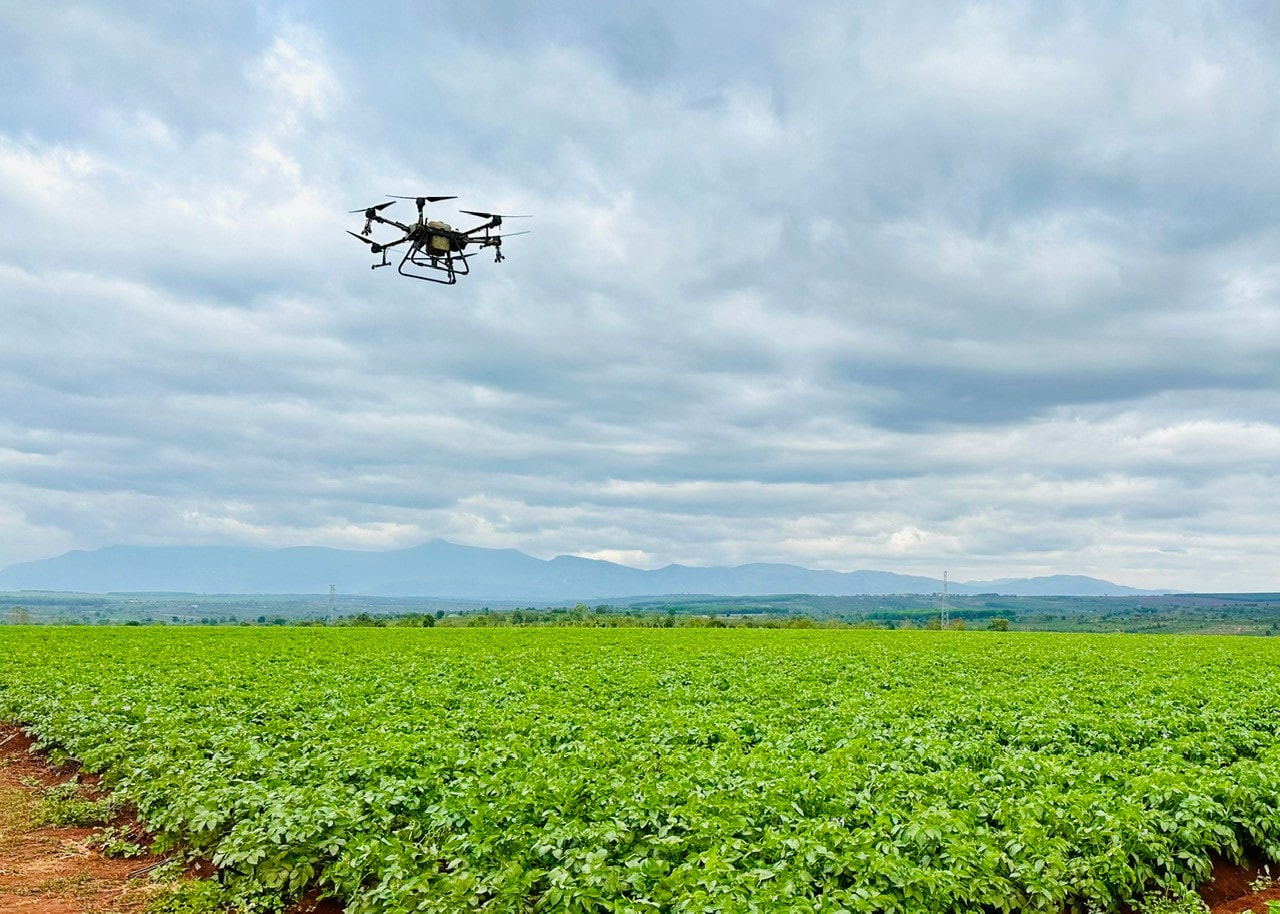 Phun thuốc bảo vệ thực vật bằng drone tại Gia Lai. Ảnh: H.Lan