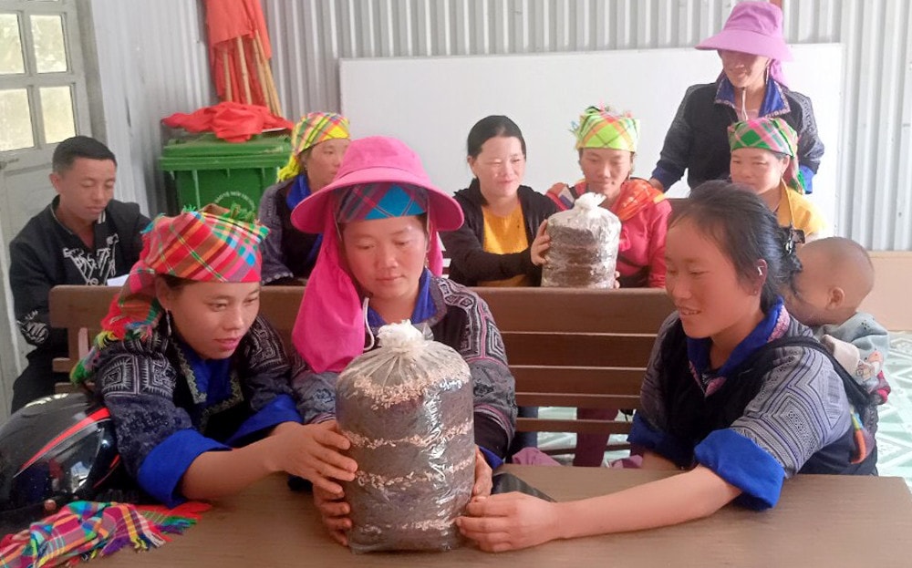 Giáo dục nghề nghiệp tạo sinh kế, giảm nghèo bền vững -0