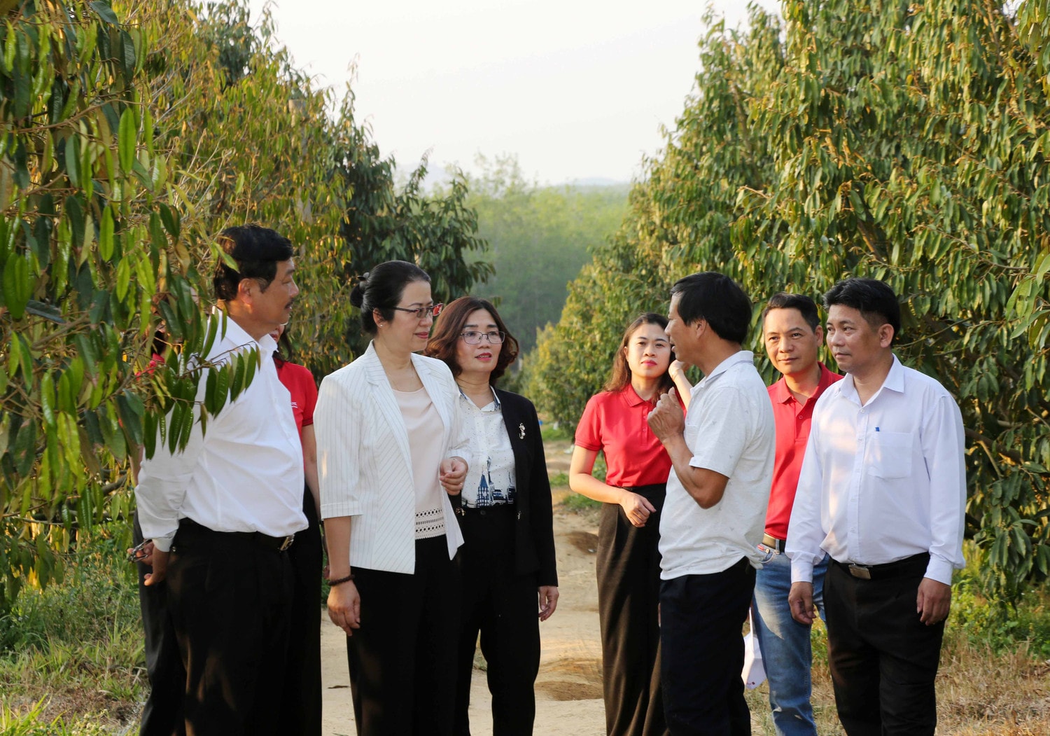 Ảnh: Phó Tổng giám đốc Agribank Nguyễn Thị Phượng thăm vườn sầu riêng của hộ vay Bùi Văn Quyển ở làng Tum, xã Ya Ly, huyện Sa Thầy, Kon Tum. Ảnh: Đức Kiên