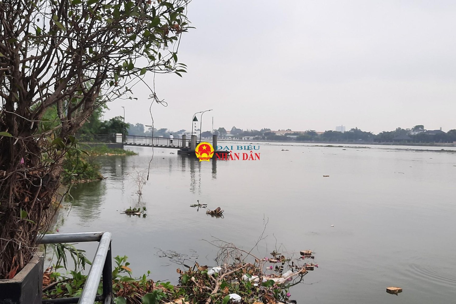 TP. Hồ Chí Minh: Nhiều hoạt động hưởng ứng Tuần lễ Quốc gia Nước sạch và vệ sinh môi trường -0