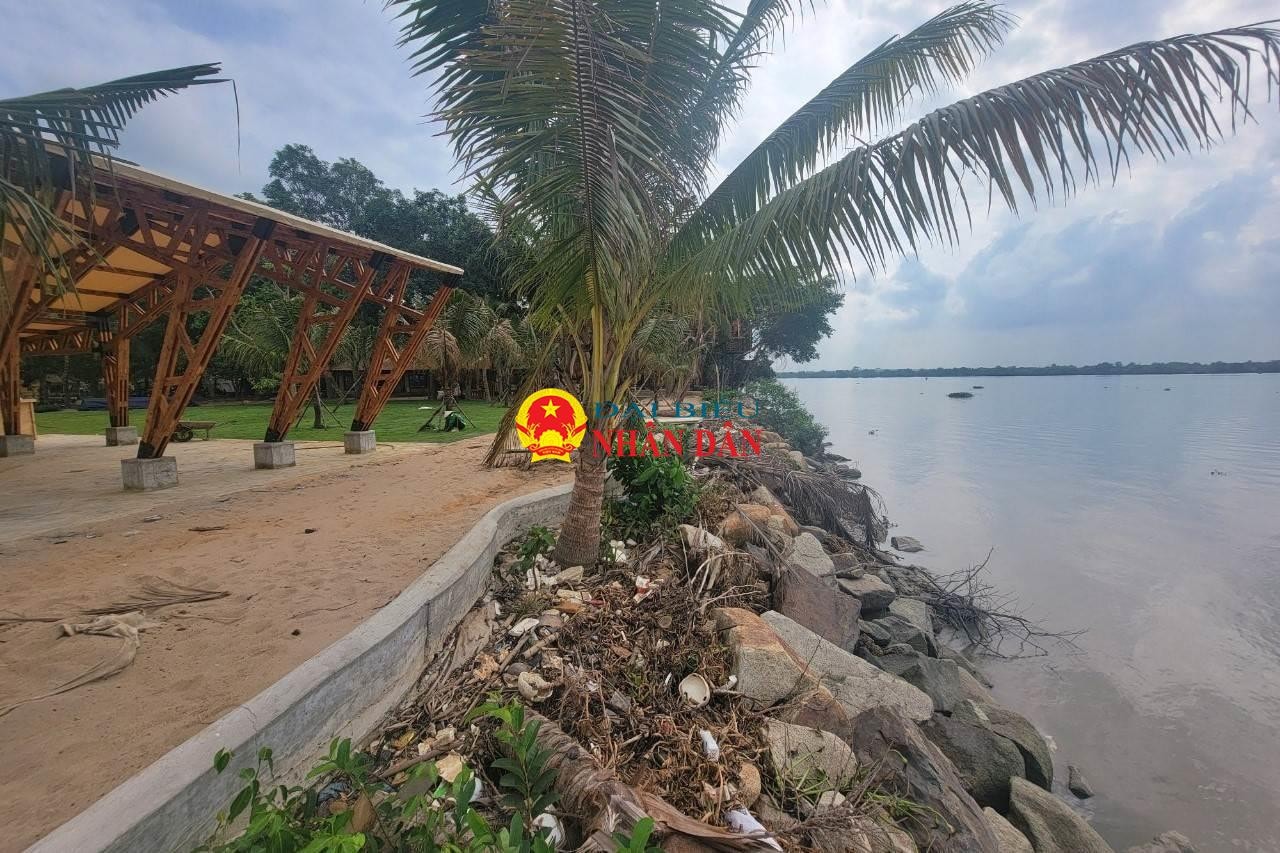 TP. Hồ Chí Minh: Thanh tra phát hiện nhiều công trình lấn chiếm sông, rạch tại một phường ở TP. Thủ Đức -0
