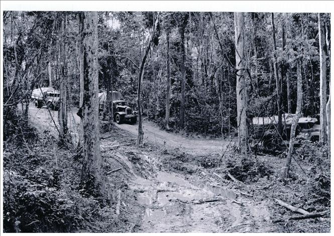 Triển lãm “Đường Trường Sơn - Đường Hồ Chí Minh huyền thoại” -0