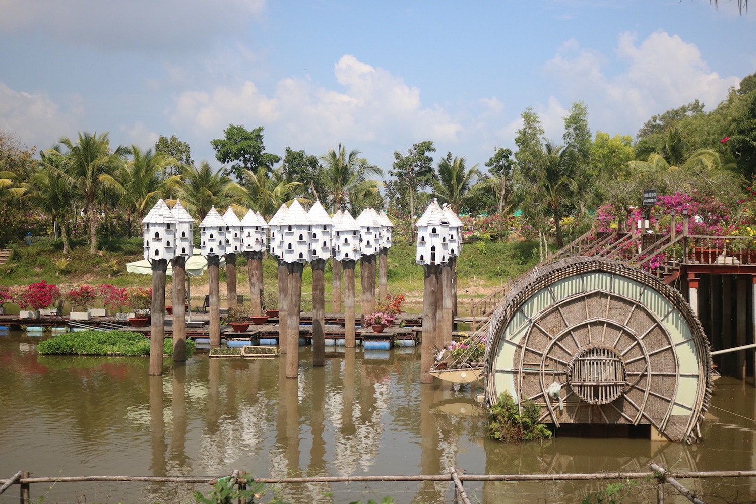 "Thành phố chim bồ câu" tại rừng tràm Trà Sư Rừng tràm Trà Sư - điểm thăm quan hấp dẫn dịp 30.4