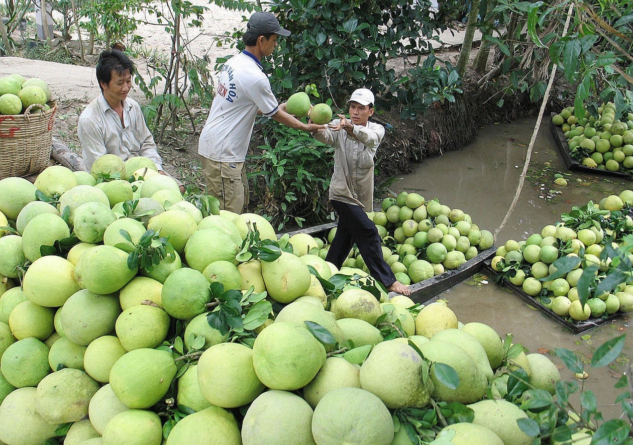 Điều kiện tiên quyết để đưa nông sản lên sàn thương mại điện tử là tập trung vào chất lượng. Nguồn: ITN.