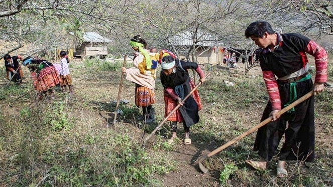 Bài 2: An cư để lạc nghiệp