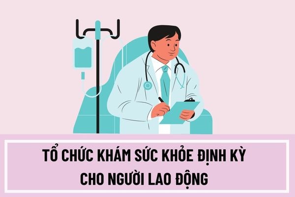 Không thực hiện khám sức khỏe định kỳ cho người lao động, doanh nghiệp bị phạt như thế nào? -0