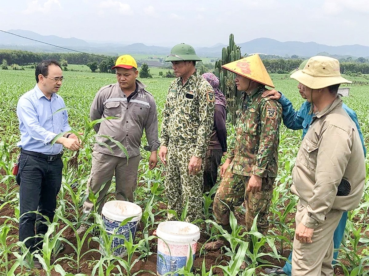 Phía sau những ly sữa tươi sạch -0