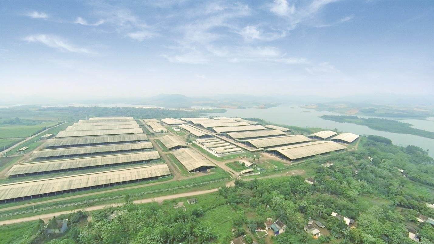 Phía sau những ly sữa tươi sạch -0