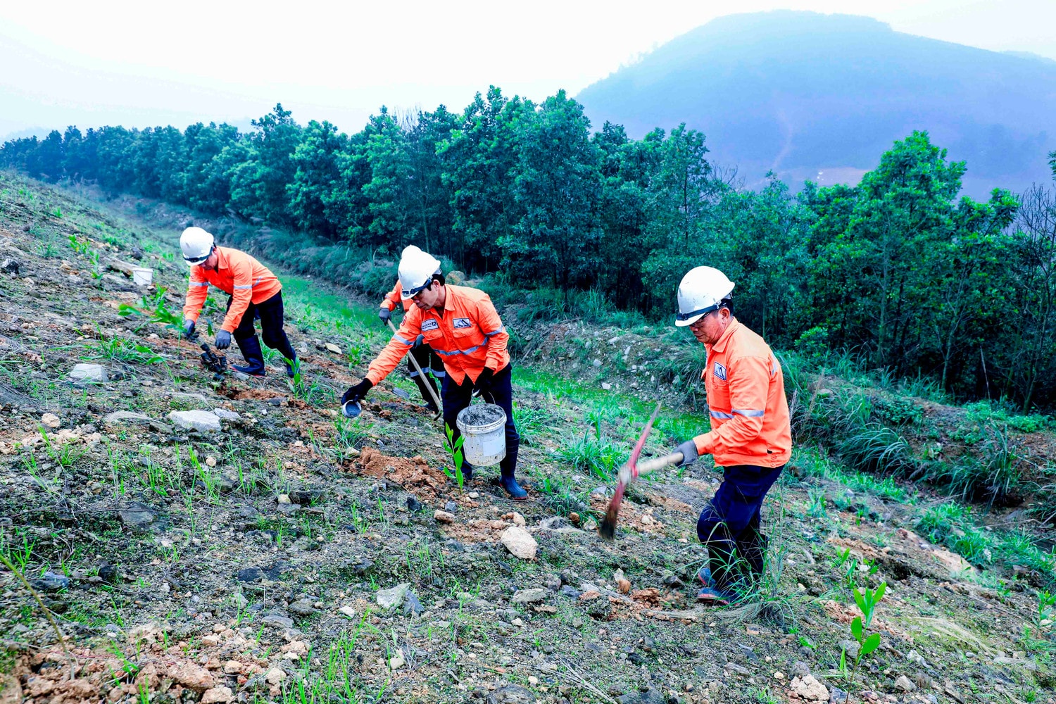 Masan High-Tech Materials: Doanh nghiệp vì người lao động -0