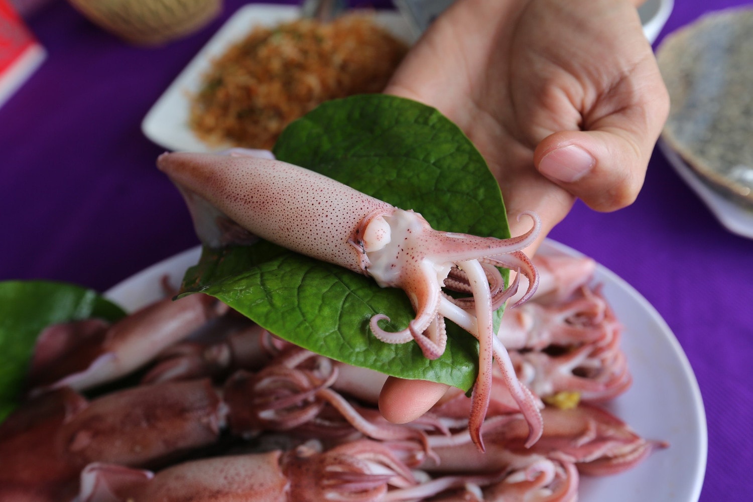 Mực nhảy món ngon nổi tiếng Hà Tĩnh vào mùa -1