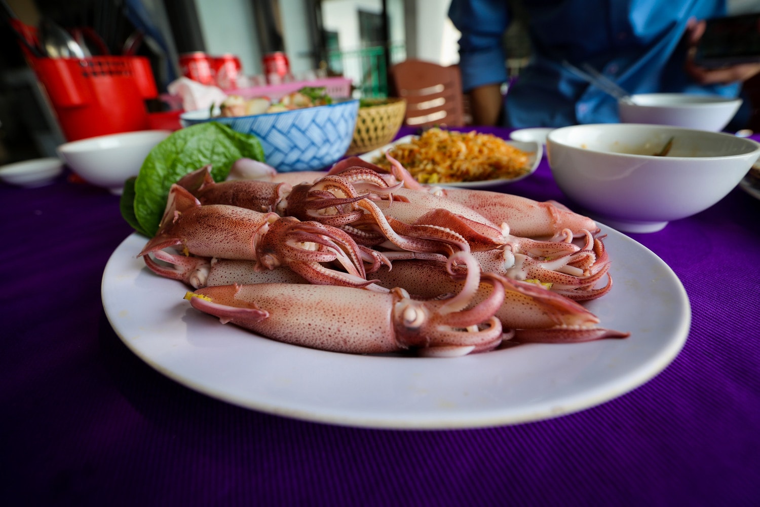Mực nhảy món ngon nổi tiếng Hà Tĩnh vào mùa -0