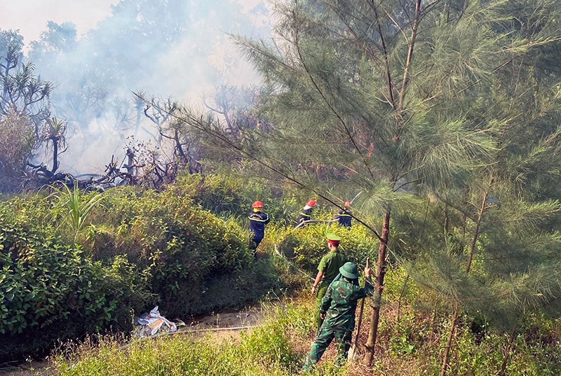 Quảng Bình: Hơn 300 người chữa cháy rừng phòng hộ ven biển -0