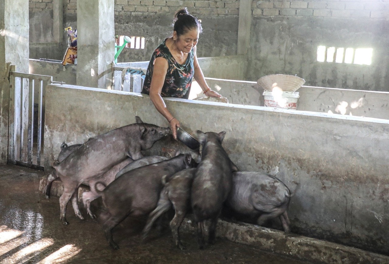 Nghệ An: Khơi dậy ý chí tự lực tự cường để thoát nghèo tại huyện Kỳ Sơn -0
