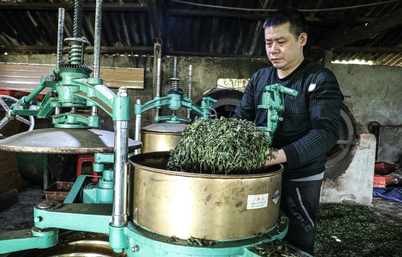 Nghệ An: Khơi dậy ý chí tự lực tự cường để thoát nghèo tại huyện Kỳ Sơn -0