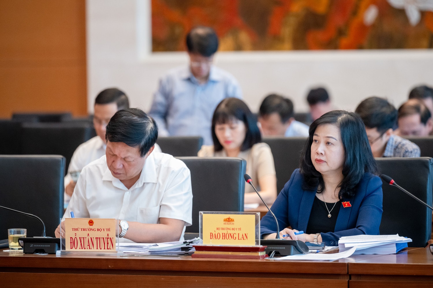 Thẩm tra dự án Luật sửa đổi, bổ sung một số điều của Luật Dược -0
