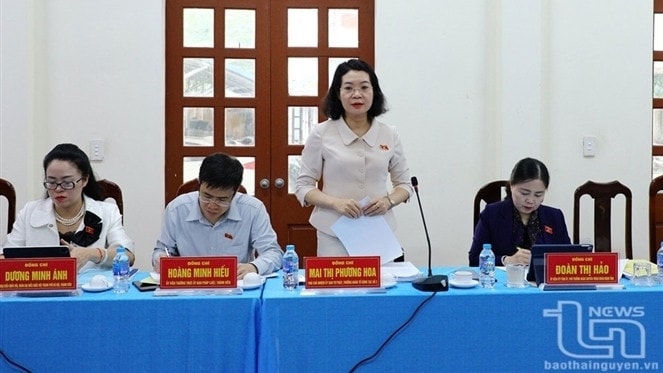 Phó Chủ nhiệm Ủy ban Tư pháp Mai Thị Phương Hoa phát biểu