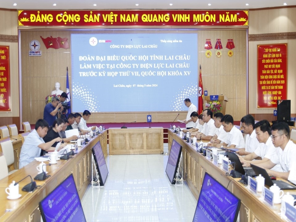Đoàn Đại biểu Quốc hội tỉnh Lai Châu làm việc tại PC Lai Châu -0