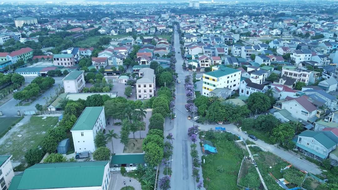 Nghệ An rà liên quan đến các dự án trồng cây xanh -0