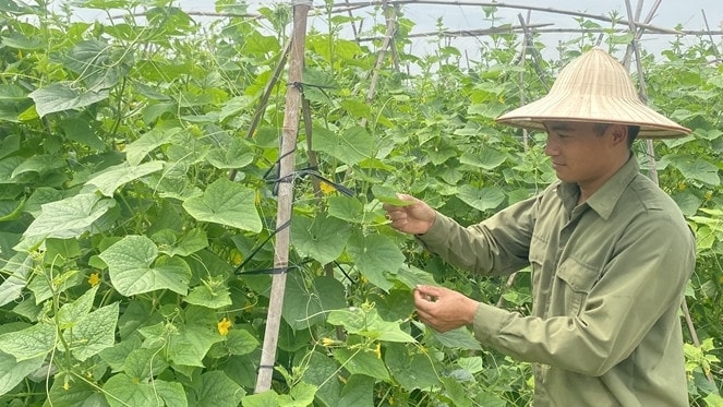 Chi phí giảm, năng suất tăng