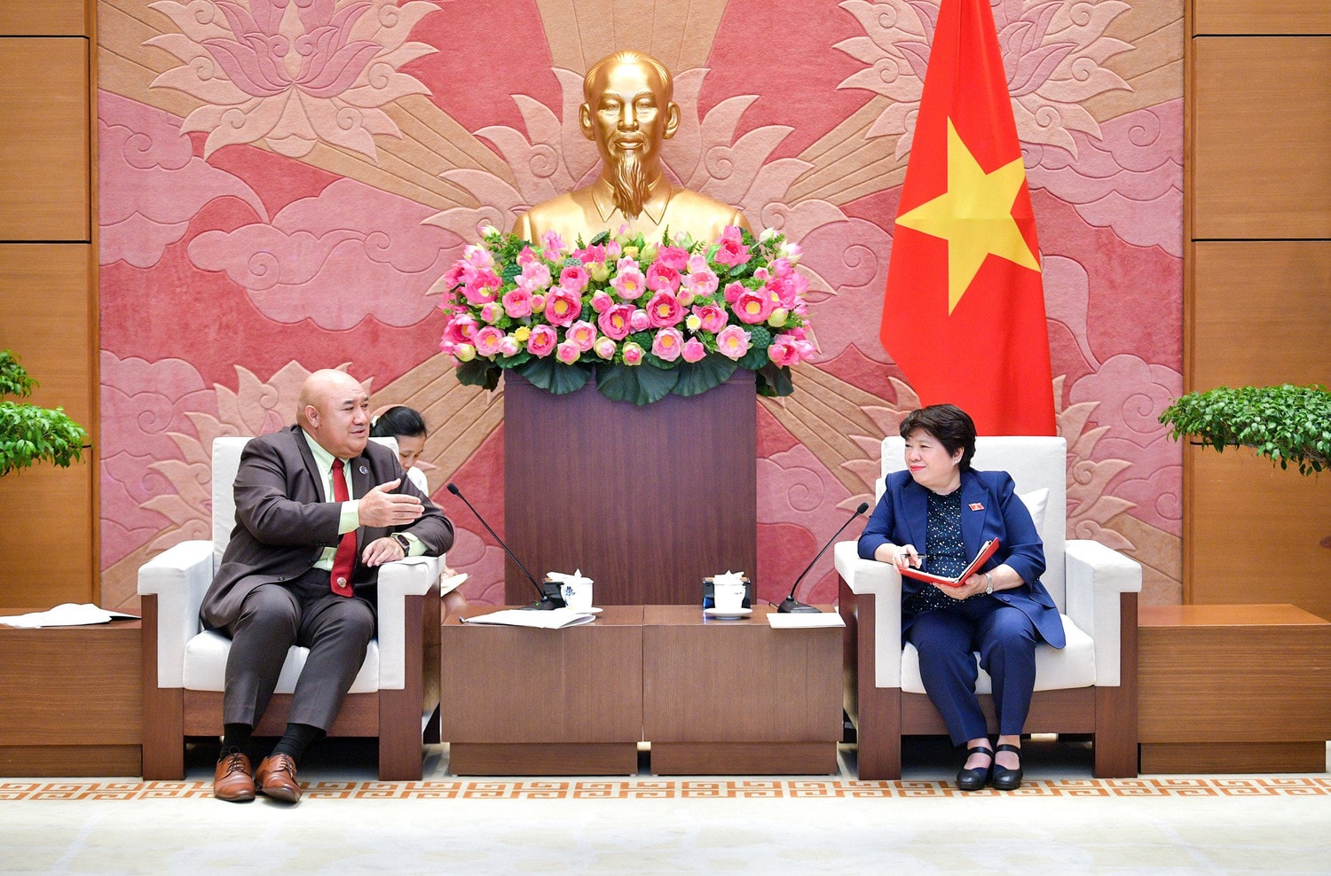 Chủ nhiệm Ủy ban Xã hội Nguyễn Thúy Anh tiếp Giám đốc WHO khu vực Tây Thái Bình Dương 
