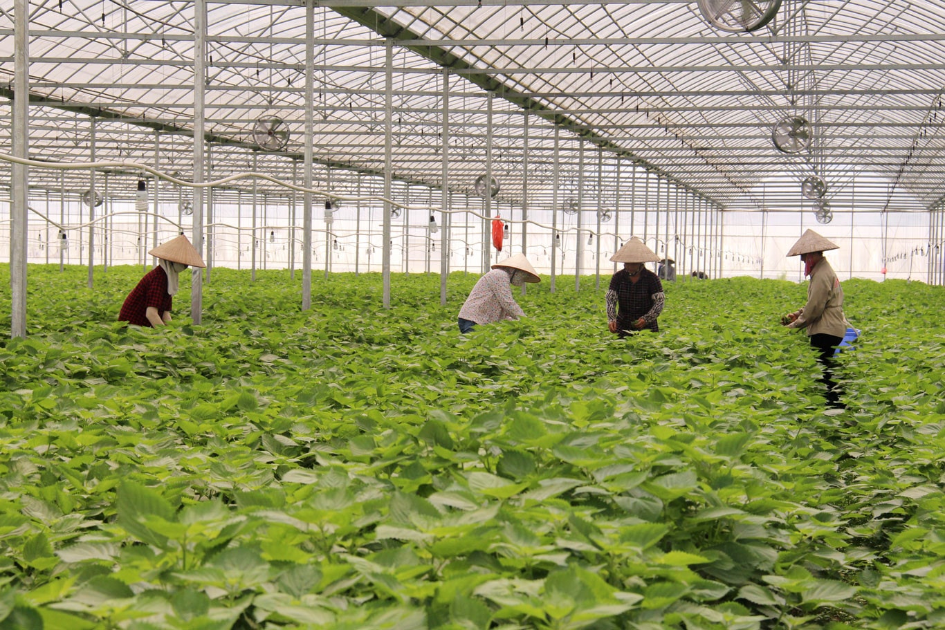 Cần thêm chính sách ưu đãi, hỗ trợ đầu tư ứng dụng khoa học -0
