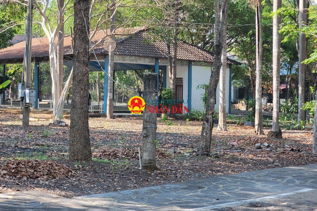 Đồng Nai: Hàng loạt hành vi vi phạm pháp luật tồn tại nhiều năm liền tại khu đất hơn 6,74ha ở một xã thuộc huyện Trảng Bom -0