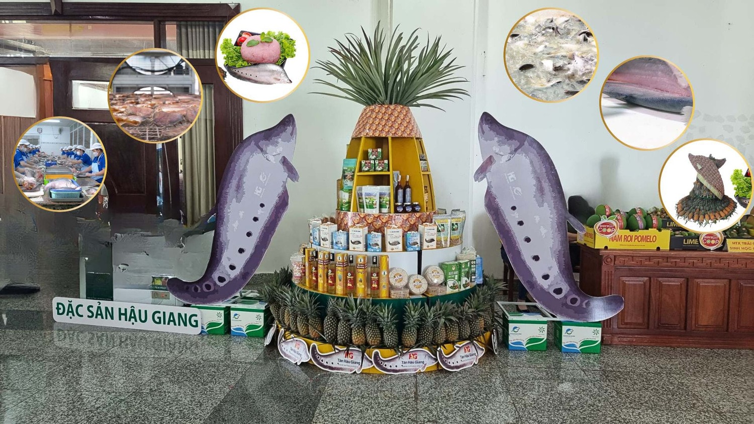 Sản phẩm OCOP của Hậu Giang đã có trên hệ thống bán hàng như: Bách hóa xanh, Co.opMart, Vincom…