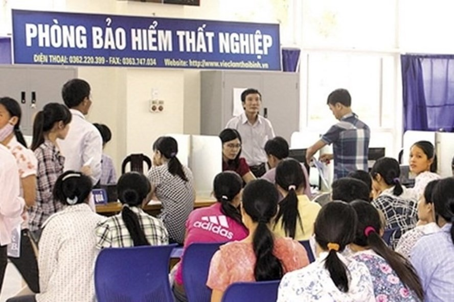 Khi nào người lao động buộc phải chấm dứt hưởng trợ cấp thất nghiệp? -0