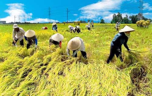 Đổi mới, nâng cao chất lượng hoạt động của Hội Nông dân Việt Nam -0