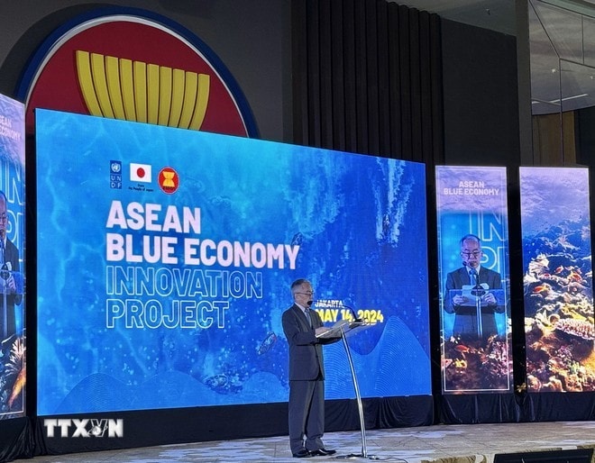 Resident Representative of UNDP Indonesia Norimasa Shimomura speaks at the lauch of the ASEAN Blue Economy Innovation Project in Jakarta on May 14. (Photo: VNA) ASEAN Blue Economy Innovation marine protection project launched -0