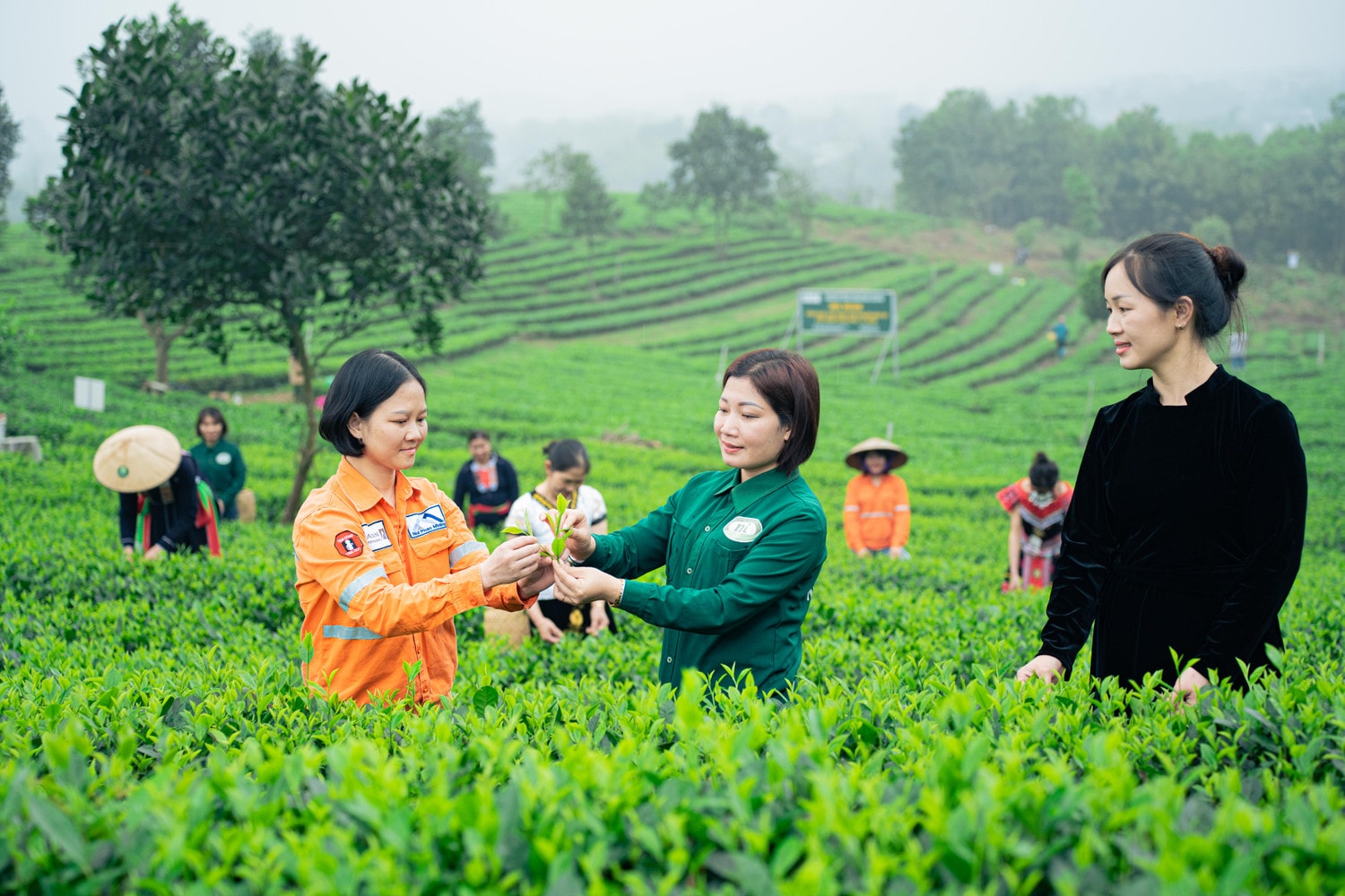 Hiệu quả từ Quỹ vốn vay phục hồi kinh tế -0