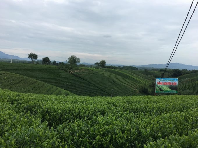 Đánh thức miền trời -0