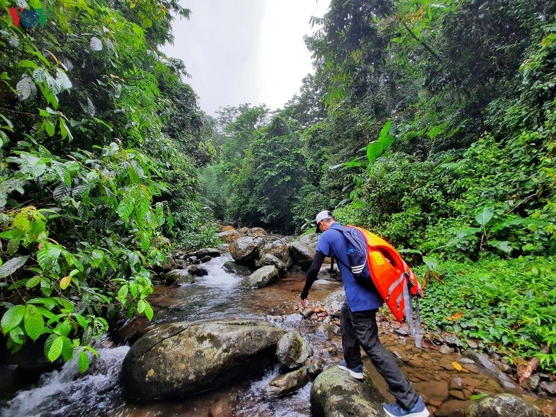 Đánh thức miền trời -0
