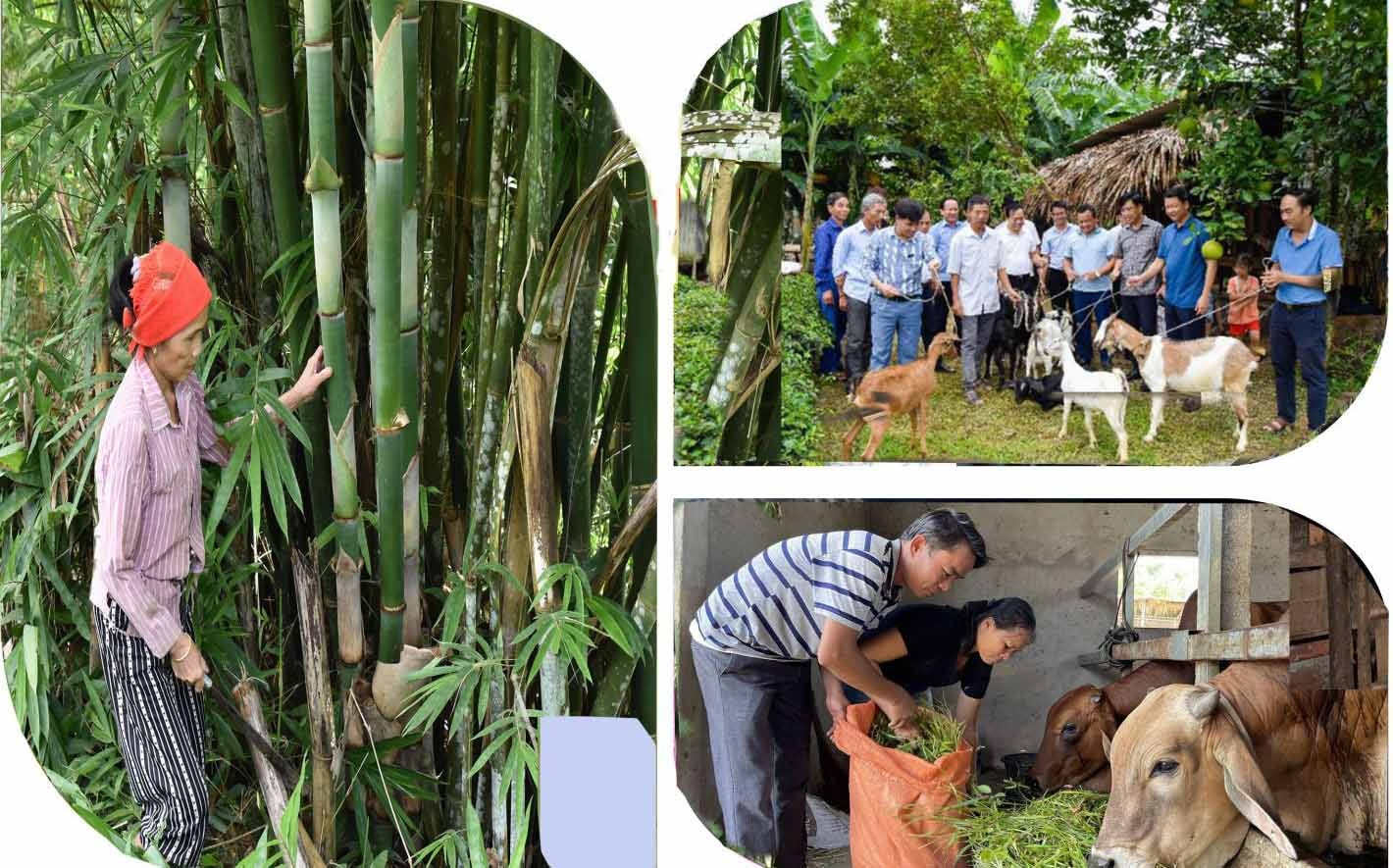 Đời sống người dân huyện miền núi Nghệ An có nhiều chuyển biến. Ảnh: Báo Nghệ An