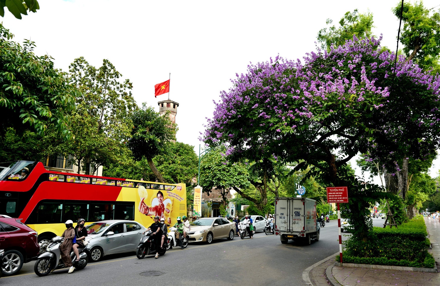 Sắc bằng lăng nhuộm tím phố phường Hà Nội -0