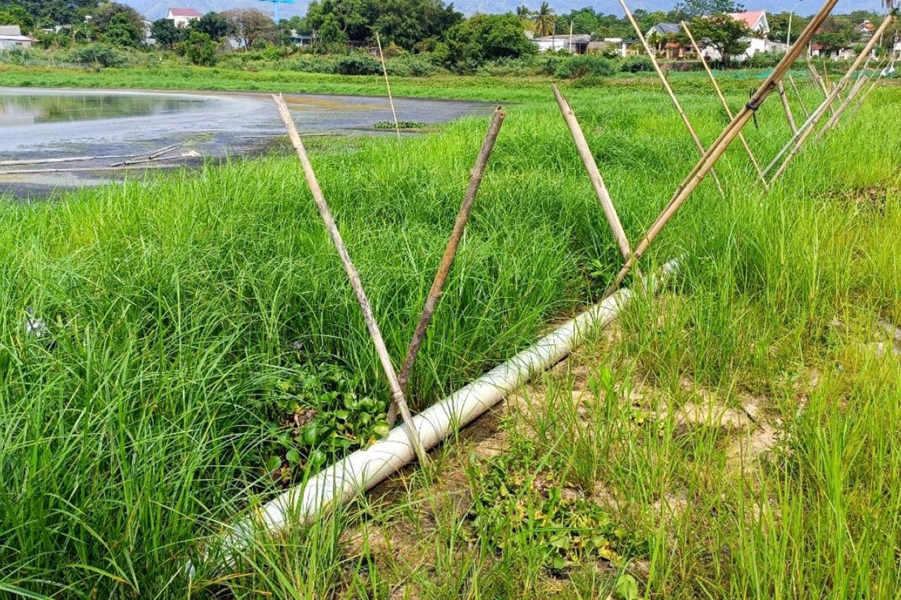 Đắk Lắk: Danh thắng hồ Lắk đang bị xâm hại -0