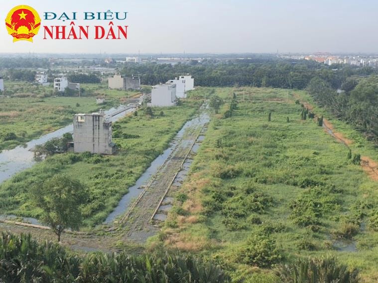 TP. Hồ Chí Minh: Nhiều khu dân cư gần dự án ngăn triều 10.000 tỷ vẫn phải đắp đê chống ngập