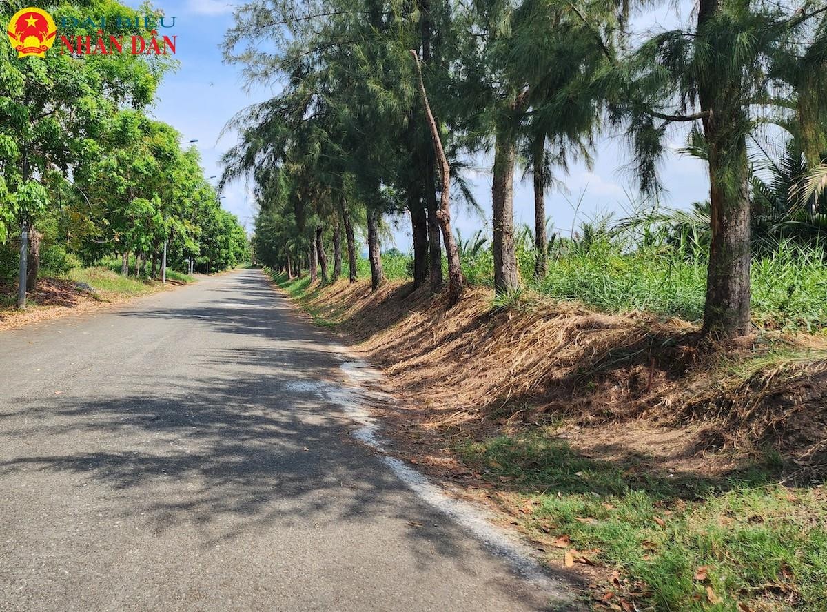 TP. Hồ Chí Minh: Nhiều khu dân cư gần dự án ngăn triều 10.000 tỷ vẫn phải đắp đê chống ngập