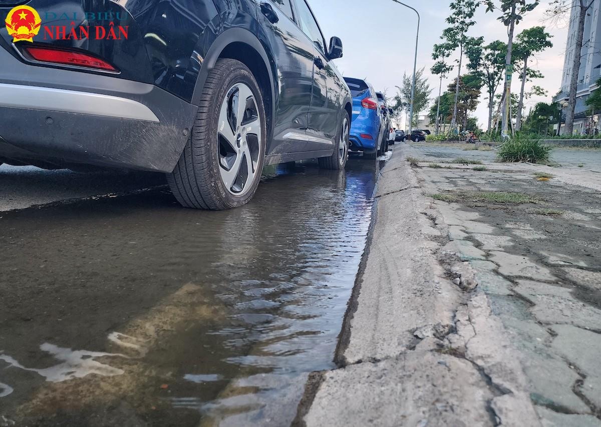 TP. Hồ Chí Minh: Nhiều khu dân cư gần dự án ngăn triều 10.000 tỷ vẫn phải đắp đê chống ngập