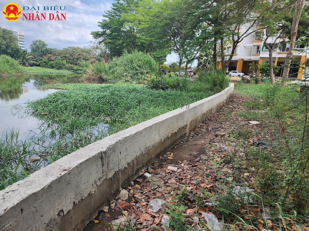 TP. Hồ Chí Minh: Nhiều khu dân cư gần dự án ngăn triều 10.000 tỷ vẫn phải đắp đê chống ngập