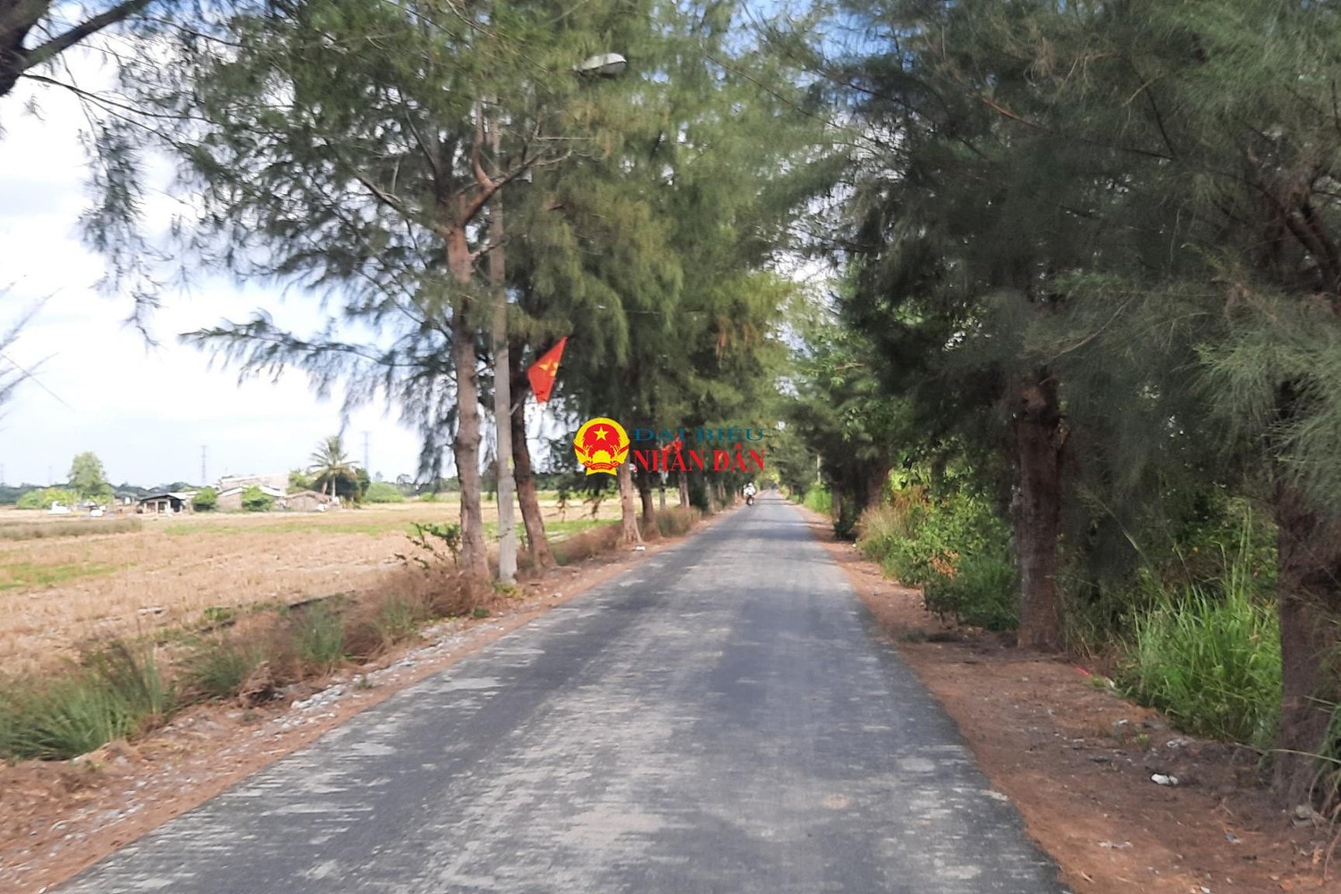 TP. Hồ Chí Minh: Rà soát, đẩy nhanh tiến độ khắc phục các tồn tại, bất cập trong tổ chức giao thông -0