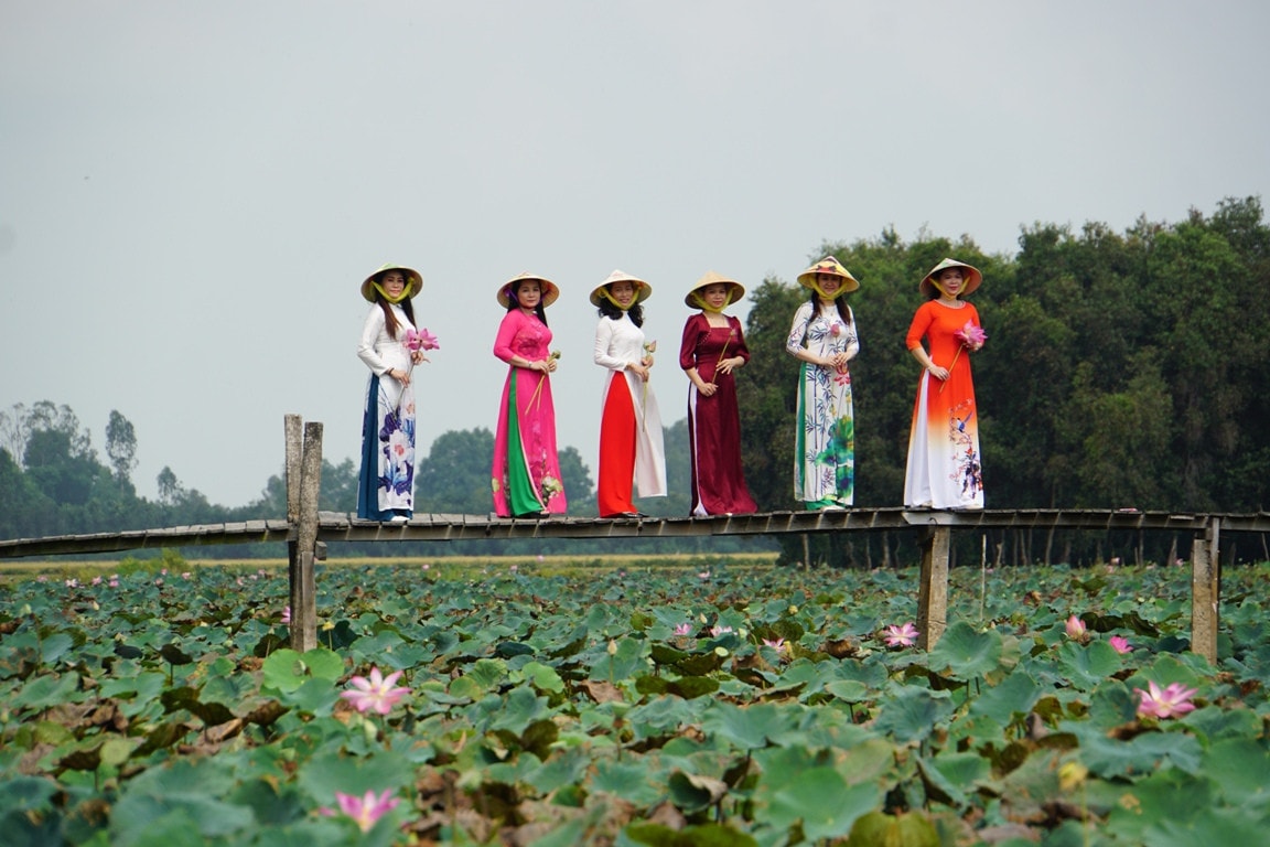 Hàng năm, Đồng Tháp tổ chức nhiều lễ hội văn hóa để tôn vinh giá trị của sen Hội thảo khoa học nâng tầm giá trị văn hóa sen Đồng Tháp